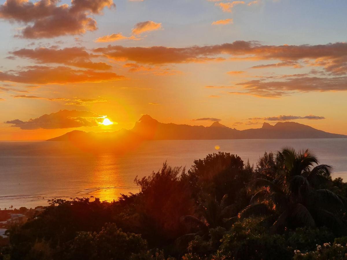 Jolie Maison Vue Ocean Et Moorea Пунаауйя Экстерьер фото